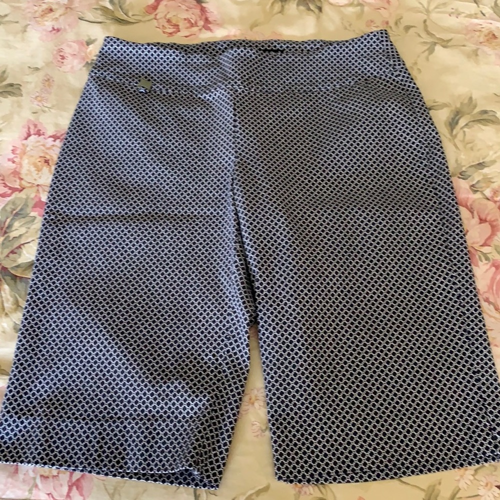 Womans Size 8 Blue & White Shorts